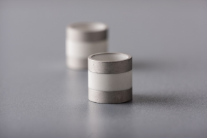 Metalized Alumina Ceramics Metalized Alumina Ceramics
