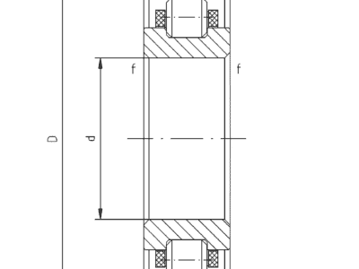 Hybrid Cylindrical Roller Bearings