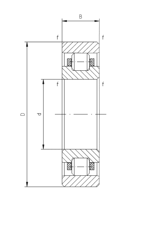 Hybrid Cylindrical Roller Bearings